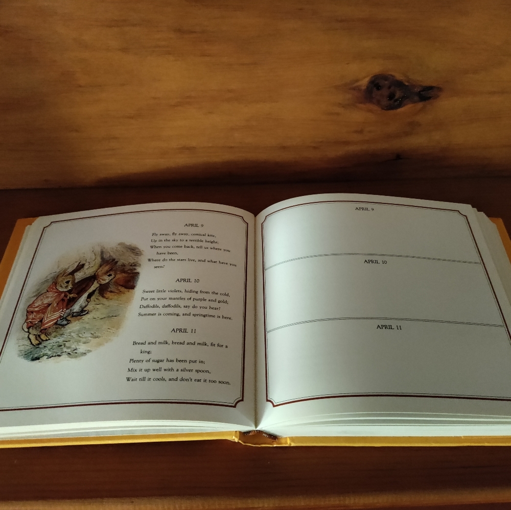 Peter Rabbit Birthday Book - Picture 5 of 10